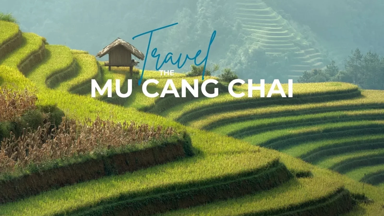 The Golden Path: A Definitive Guide to a Vietnam Cultural E-bike Experience